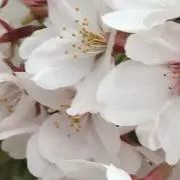 いーたんの画像