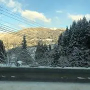 れくす