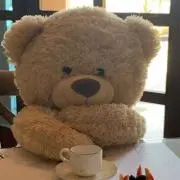 じゅん 入院中発送不可