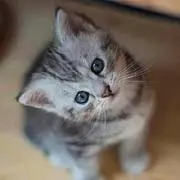 ほのか暮らし堂の画像