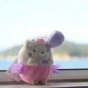 ぱんだの画像