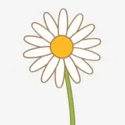 カモミール⭐︎断捨離中の画像