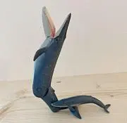 simaの画像