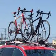 まあしいの画像