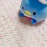 Takikoの画像