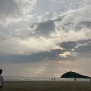 hanaの画像