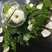 ☆トトロ☆の画像