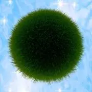 かにみそ