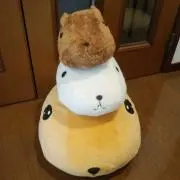 りーの画像