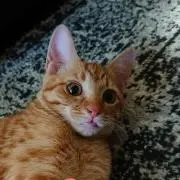 ビッグマム　断捨離中の画像