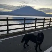 ももこ