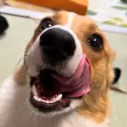 abcdeeee