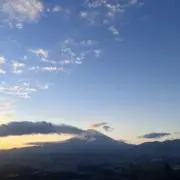 なんの画像
