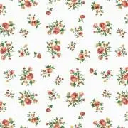 Beauty Stringの画像