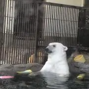 ムーミンママ600の画像
