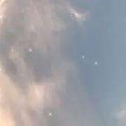 ひよの画像