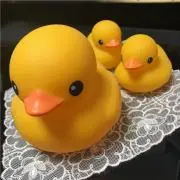 もりりんの画像