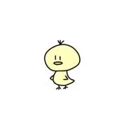 イルカの画像