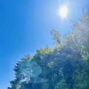 CTの画像