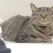 梨羅