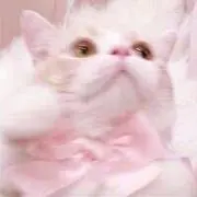 泉の画像