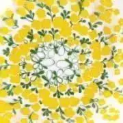 amaの画像