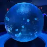 Harukaの画像