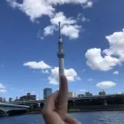 gyouza11の画像
