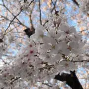 えんち⭐︎購入前にプロフ必読してくださいの画像