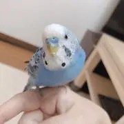 n/a☺︎