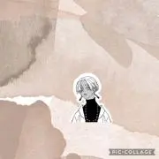 いるかの画像