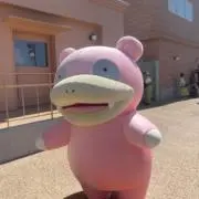 そるとの画像