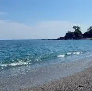 kei（出張により次回発送8/22です)の画像