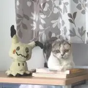 ぼぼしゅの画像