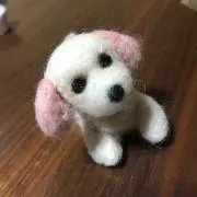 ひと坊の画像