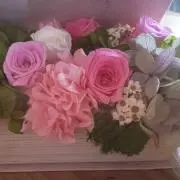 mkplantsの画像