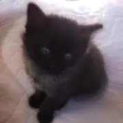 りょうちゃんの画像