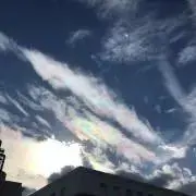 ナツの画像