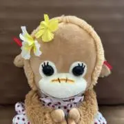 cocoの画像