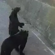 さん＊断捨離中＊の画像