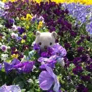 いわのり♥プロフ読んでください！