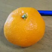 みかんの画像