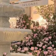 ♡(プロフ一読お願いします)の画像