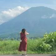 トトラウの画像