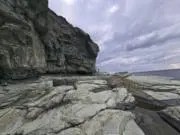 ララの画像