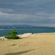 ともこ
