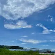 saの画像
