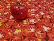TOMATOの画像