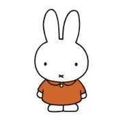 Saeの画像
