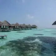 ちぃ【只今閉店中】